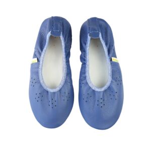 Rolly slippers classroom shoes fly girl blue