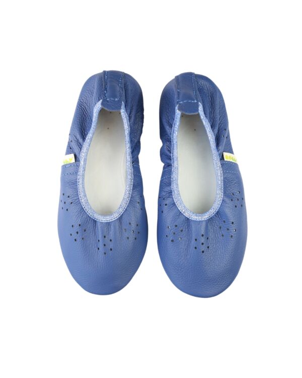 Rolly slippers classroom shoes fly girl blue